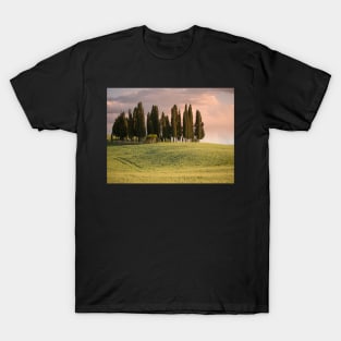 Group of cypress trees in Tuscan landscape T-Shirt